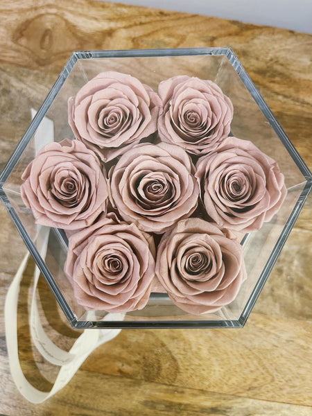 Preserved Dusty Pink Roses with Necklace Gift Box