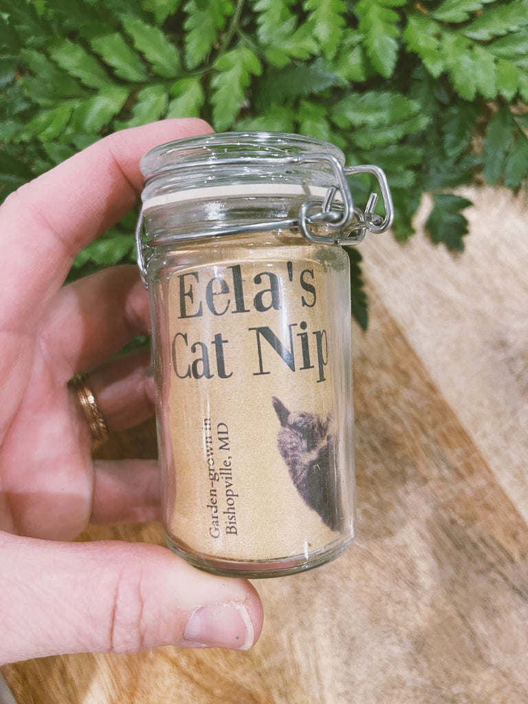 Eela's Cat Nip