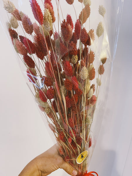 Valentine's Day Dried Bunny Tail Bouquet