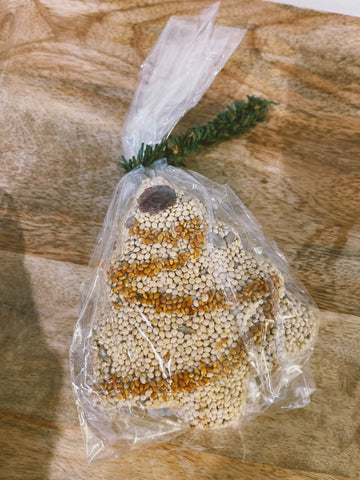 Christmas Tree Birdseed Ornament